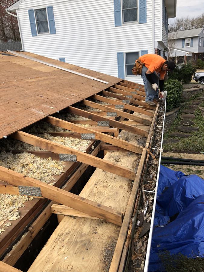 Roof decking removed, showing the roof trusses and the attic insulation below